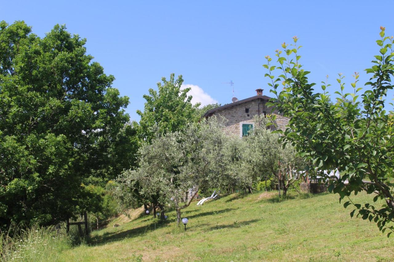 Agriturismo Angio Nel Cere Bracelli Bagian luar foto