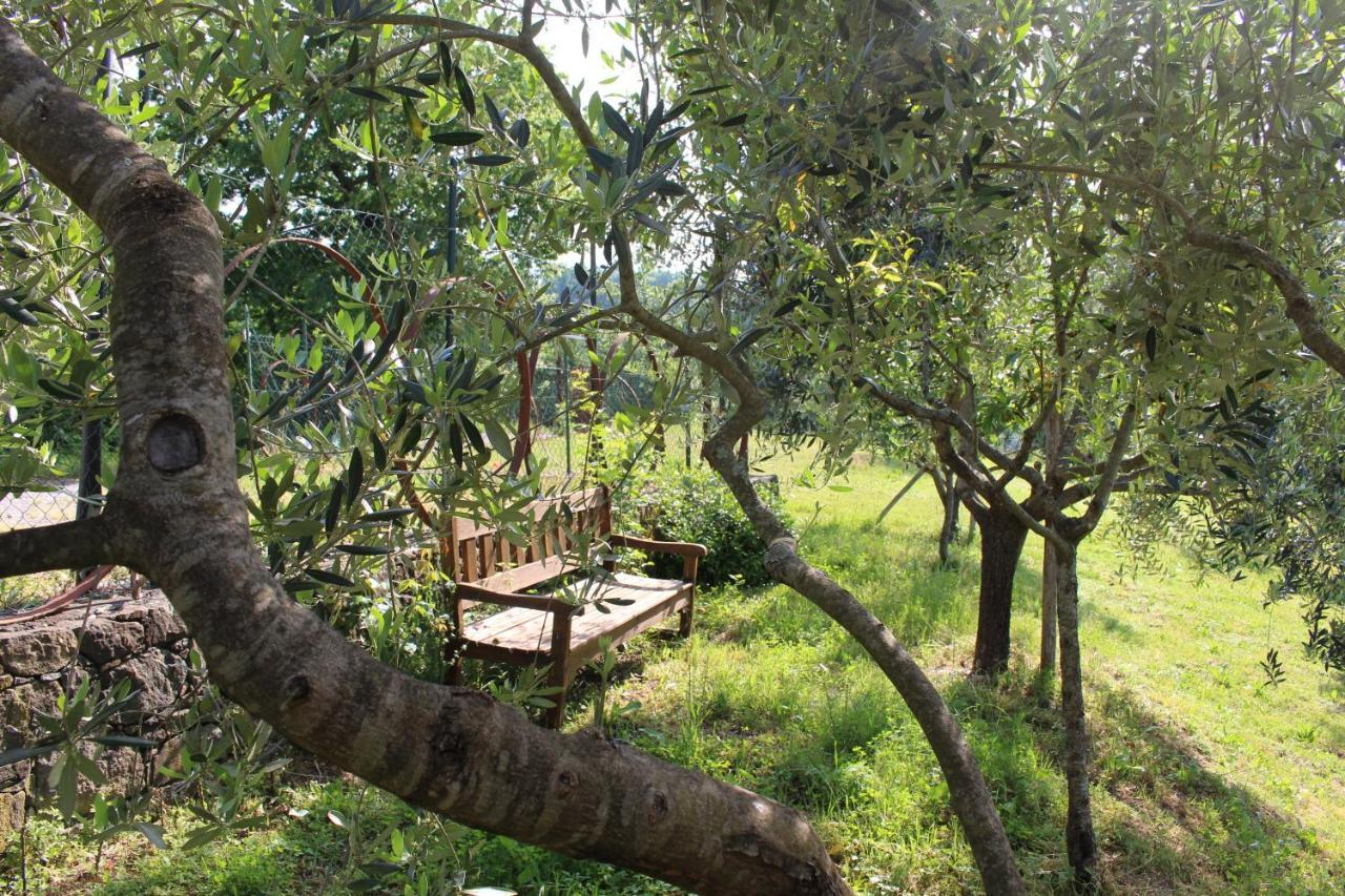 Agriturismo Angio Nel Cere Bracelli Bagian luar foto