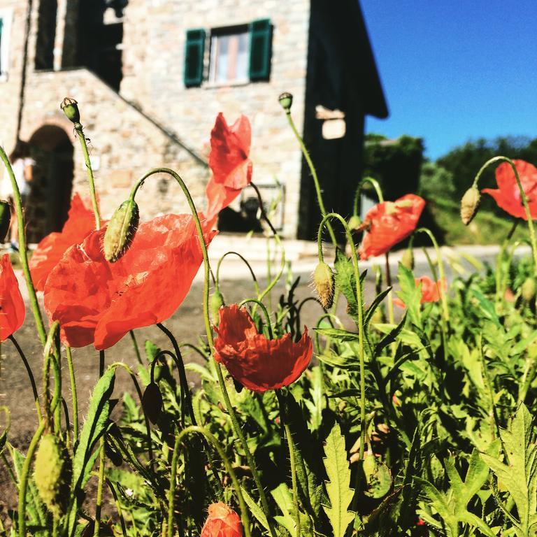 Agriturismo Angio Nel Cere Bracelli Bagian luar foto