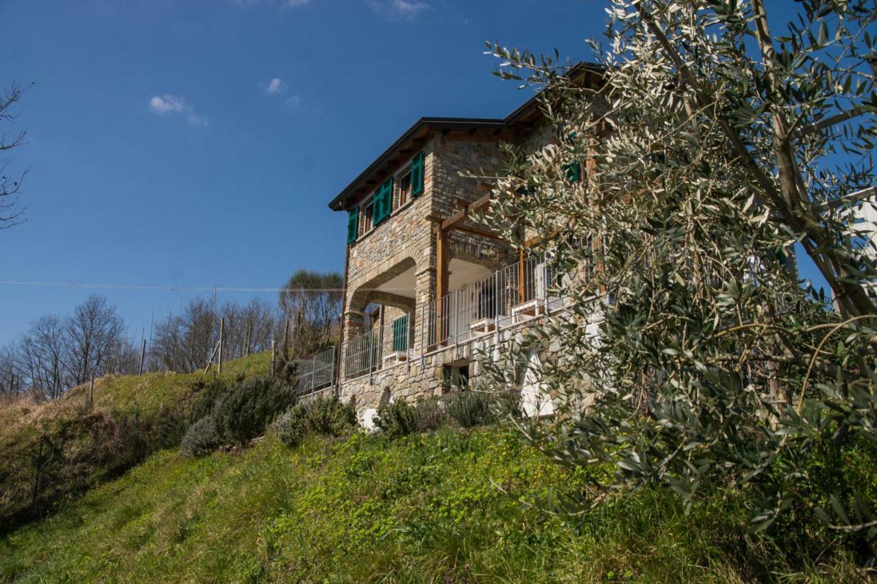 Agriturismo Angio Nel Cere Bracelli Bagian luar foto